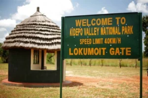 Kidepo Valley National Park