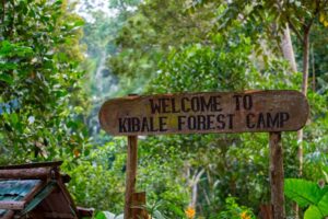 Kibale Forest National Park